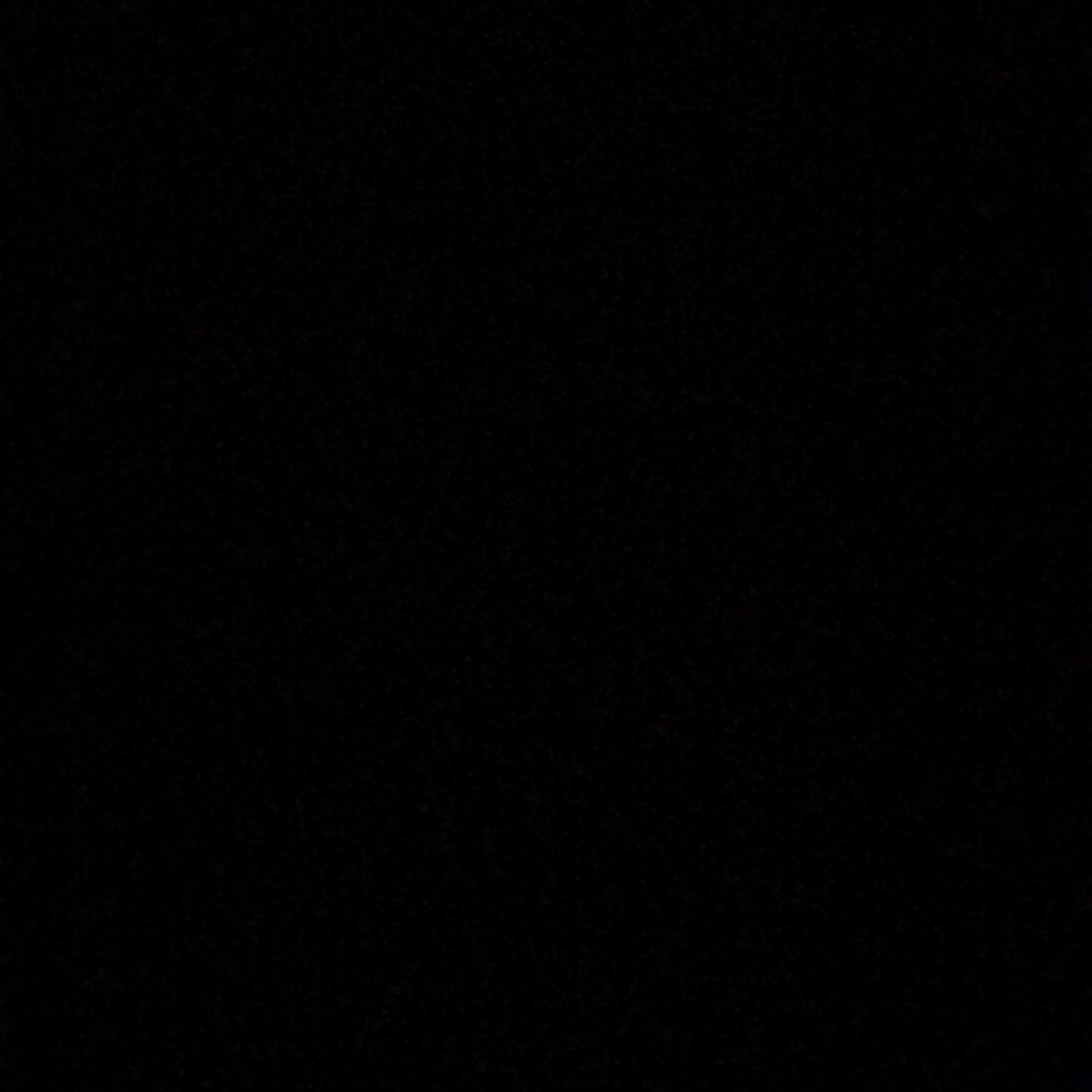 Meet your Posher, Palmer